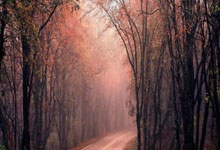 纬来体育：弗洛伦蒂诺：如果没有某些记者 小熊本可获得金球.