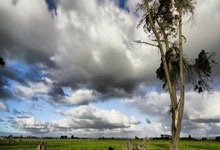 纬来体育：刘浩帆：U22男足的主心骨是主教练 U20球员跳级入选是好事.