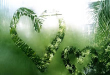 世预赛-拜合拉木破门张玉宁建功 国2-1印尼取首胜.