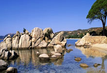 网球——墨西哥公开赛：兹韦列夫无缘八.